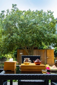 ���ݲ����������